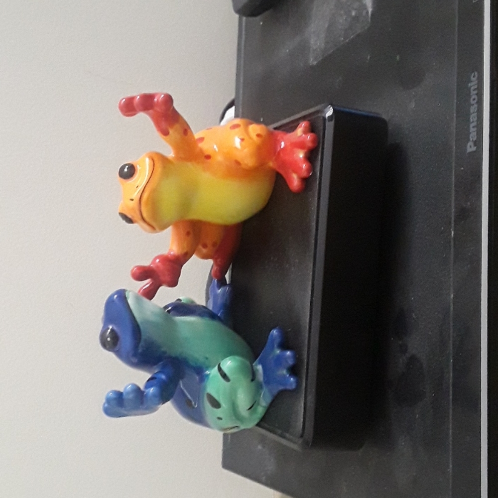 Frog salt and pepper shakers